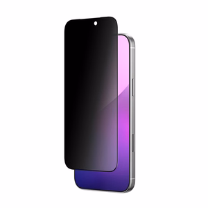 AmazingThing Radix privātuma aizsargstikls iPhone 17 Pro Max