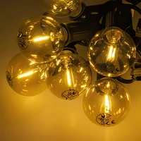 Forever Light LED Solar Garland SUNARI FLS-125 5,5m + 10 bulbs gold G40 IP44