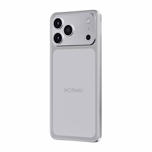 HOTWAV A17 Pro Max viedtālrunis (sudrabs)