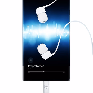 Austiņas 3mk Wired Earphones USB-C white