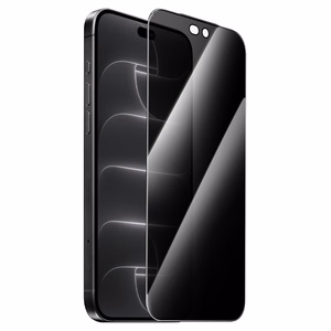 Borofone BF10 Armor visu ekrānu nosedzošs rūdīts stikls ekrānam, privātuma filtrs, paredzēts iPhone 17e/16e/14/13/13 Pro, 10 gab.