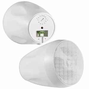 Landscape Speakers, 20W, 4'' Two-Way, Balts (Pair)