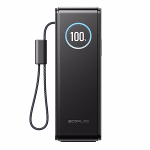 Внешний аккумулятор EcoFlow RAPID 25000 мАч 170W (встроенные кабели 100W)