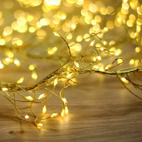 String Light GOLDEN TWIG CLF-03z 480LED cold balts 3m + 5m Forever Light