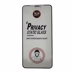 Rūdīts stikls ESD Anti-Static Privacy Apple iPhone 12/12 Pro
