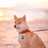 Tech-Protect Rough Vein 2-komplekts AirTag apvalks - melns (m)