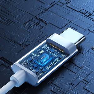 Внутриканальные наушники Joyroom JR-EC06 USB-C серебристый