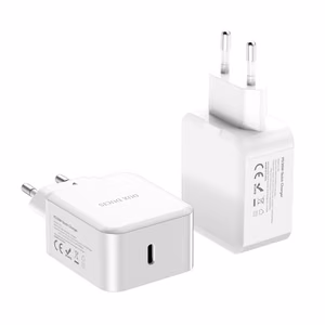 Charger Dux Ducis C100 PD 30W White