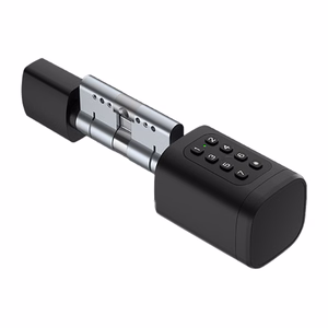 Avatto SDL-V1-B60 60mm sudraba ciparu slēdzenes cilindrs