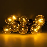 LED Bulb FL-2B E12 G40 0.5W 3V 24lm gold Forever Light 6pcs