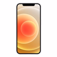 Tel Protect Burvīgais MagSafe ar statīvu apvalks viedtālrunim Iphone 11 sudrabains