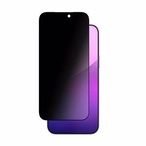 AmazingThing Radix privātuma aizsargstikls iPhone 17