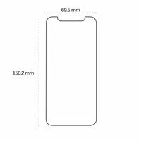 Aizsargstikls 2,5D iPhone XS Max / 11 Pro Max