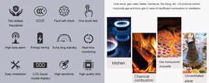Carbon Monoxide (CO) Detector