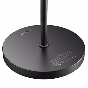 Divkārša grīdas lampa ar pulti BlitzWill BWL-FL-0001, 36W (melna)
