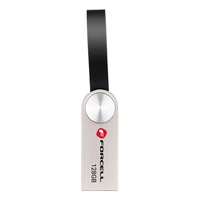 FORCELL F-DATA USB zibatmiņa Metal 128GB USB3.2 Gen 1 (USB A) sudraba