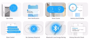 Smart Wireless Door/Window Sensor Sonoff DW2 WiFi