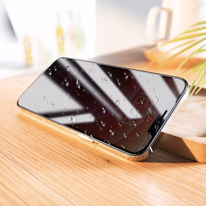 Borofone BF7 Diamond Armor Anti-spy rūdīts stikls iPhone 12 Pro Max (10 gab. komplekts)