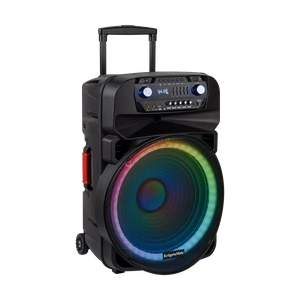 60 W aktīvā skanda ar 2 bezvadu UHF mikrofoniem, SD, Bluetooth, FM, USB un LED