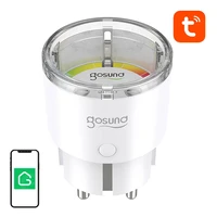 Gosund SP111 3680W 16A WiFi vieda ligzda, Tuya