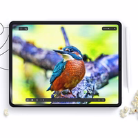 Aizsargplēve HOFI PAPER PRO+ 2-PACK IPAD AIR 10.9 4 / 5 / 2020-2022 / PRO 11 2 / 3 / 4 / 2020-2022 MATĒTS CAURSPĪDĪGS