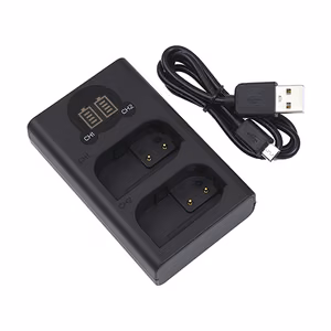 Charger Panasonic DMW-BLK22, Dual