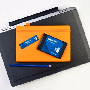 WD zils SA510 SATA SSD in a 7 mm/2.5-inch enclosure 500 GB (WDS500G5B0A-00LMP0)