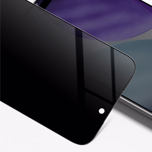 AmazingThing Radix privātuma aizsargstikls iPhone 17