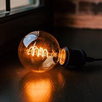 LED Bulb Filaments E27 G95 4W 230V 2000K 250lm SF smoked Forever Light