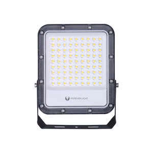Floodlight LED PROXIM+ 50W 6500K 7500lm 230V IP65 Forever Light 150lm/W 5 years warranty