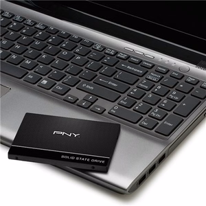 PNY CS900 250 GB 2.5" Serial ATA III 3D TLC SSD