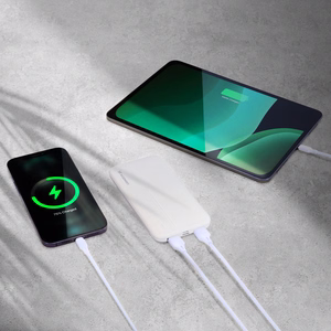 Portatīvais lādētājs Wozinsky Li-Po 10000mAh 2x USB balts (WPBWE1)