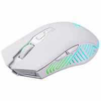 WIRELESS MOUSE DEFENDER PANDORA RF balts 3200dpi 7P