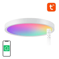 Viedā griestu lampa 30cm WiFi/Bluetooth 16M RGBCW Gosund LB12 1920lm Tuya + tālvadības pults