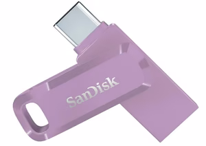 MEMORY DRIVE FLASH USB-C 64GB/SDDDC3-064G-G46L SANDISK