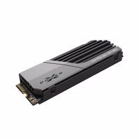 Silicon Power XS75 4 TB PCIe Gen 4x4 M.2 NVMe (SP04KGBP44XS75S5)