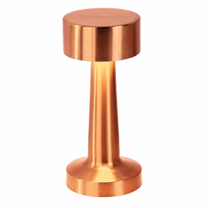 Nakts lampa WDL-03 bezvadu rozā zelta