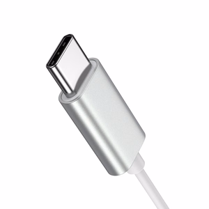 Внутриканальные наушники Joyroom JR-EC06 USB-C серебристый