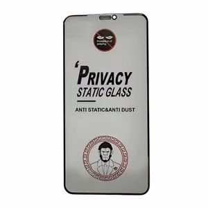 Rūdīts stikls ESD Anti-Static Privacy Samsung A266 A26 5G