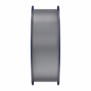 Sunlu PETG Filament (Gray)