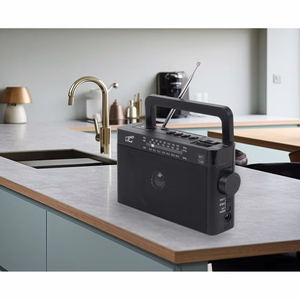 LTC portable radio SONA, Bluetooth, USB, TF, melns