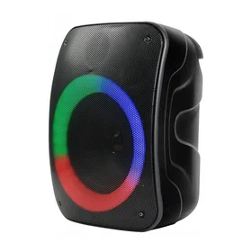 Rebeltec Bluetooth skaļrunis STAGE 300 melns