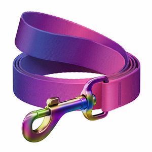 WAUDOG gradienta neilona suņu pavada, 20mm plata, 122cm gara, violeta