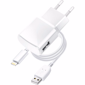 BLUE STAR lādētājs ceļojumiem 1A 5W ar USB-A kabeli USB-A uz Micro USB TFK-TC-1100B balts