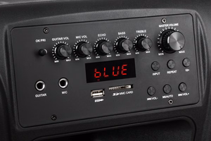 Aktīvā skaļruņu kolonna ar 2 bezvadu UHF mikrofoniem, SD, Bluetooth, FM, USB, 60 W