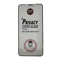 Rūdīts stikls ESD Anti-Static Privacy Apple iPhone XS Max/11 Pro Max