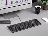 A4Tech FSTYLER FX60H (balts Backlit) keyboard USB QWERTY melns, pelēks