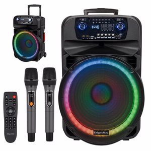 60 W aktīvā skanda ar 2 bezvadu UHF mikrofoniem, SD, Bluetooth, FM, USB un LED