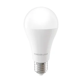 Forever Light LED Bulb E27 A65 17W 2100lm 6000K class E