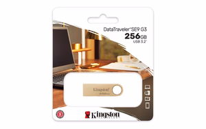 Kingston Technology DataTraveler 256GB 220MB/s metāla USB 3.2 Gen 1 SE9 G3
